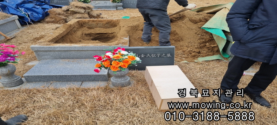 f32dad7285e648c8eed78c249aa157ff_1716342059_0306.jpg